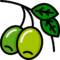 زیتون