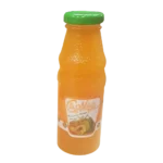 آبمیوه انبه کارناوال - 250 میلی لیتر