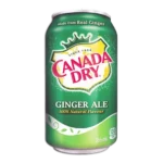 کانادا درای زنجبیلی قوطی - 355 میلی لیتر